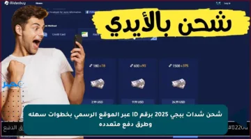 شحن شدات ببجي 2025 برقم ID عبر الموقع الرسمي بخطوات سهلة وطرق دفع متعددة